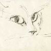 Kim Bruce | drawing016