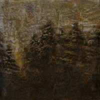 Afforest Study Afforest Study