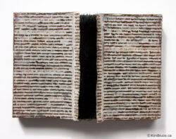 Henigman Bruce - Can't Touch- Encaustic, book pages, straight pins on board,10"w x 7"h x 2.25"d Henigman Bruce - Can't Touch