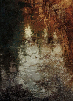 #HenigmanBruce - Forestress, Hand Pulled Print on photographic paper, Color Transparency, layered Image 7.75"x6" Private Collection Kim Bruce - Forestress