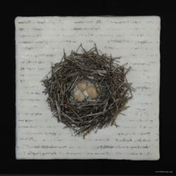 Kim Bruce, Wall Nest, 2010, Straight Pins, stones, encaustic, 6"x6"x1 1/2" Kim-Bruce_wall-nest